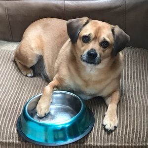 Meet your Posher, Helen